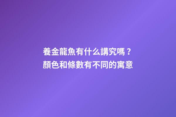 養金龍魚有什么講究嗎？顏色和條數有不同的寓意